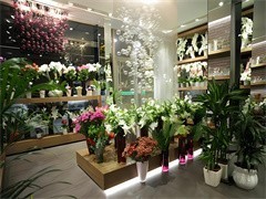 天津禮品花卉銷售 以花為禮，傳遞溫情與祝福